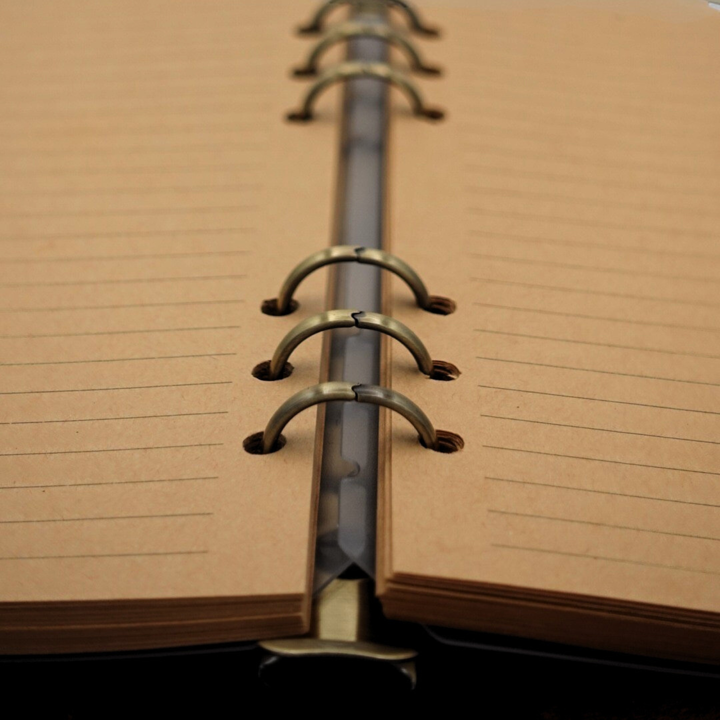 The Ilaro Growth Book